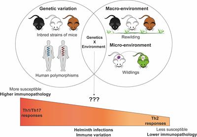 The Influence of Genetic and Environmental Factors and Their Interactions on Immune Response to Helminth Infections